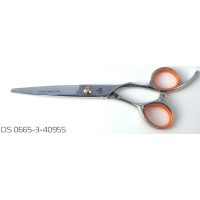 Ножницы DS 40955 прямые, размер 5.5, нержавеющая сталь, винт плоский, несъемный упор