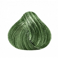 Зеленый краситель Power Color 100 мл, SHPWGRE Shot (Италия)